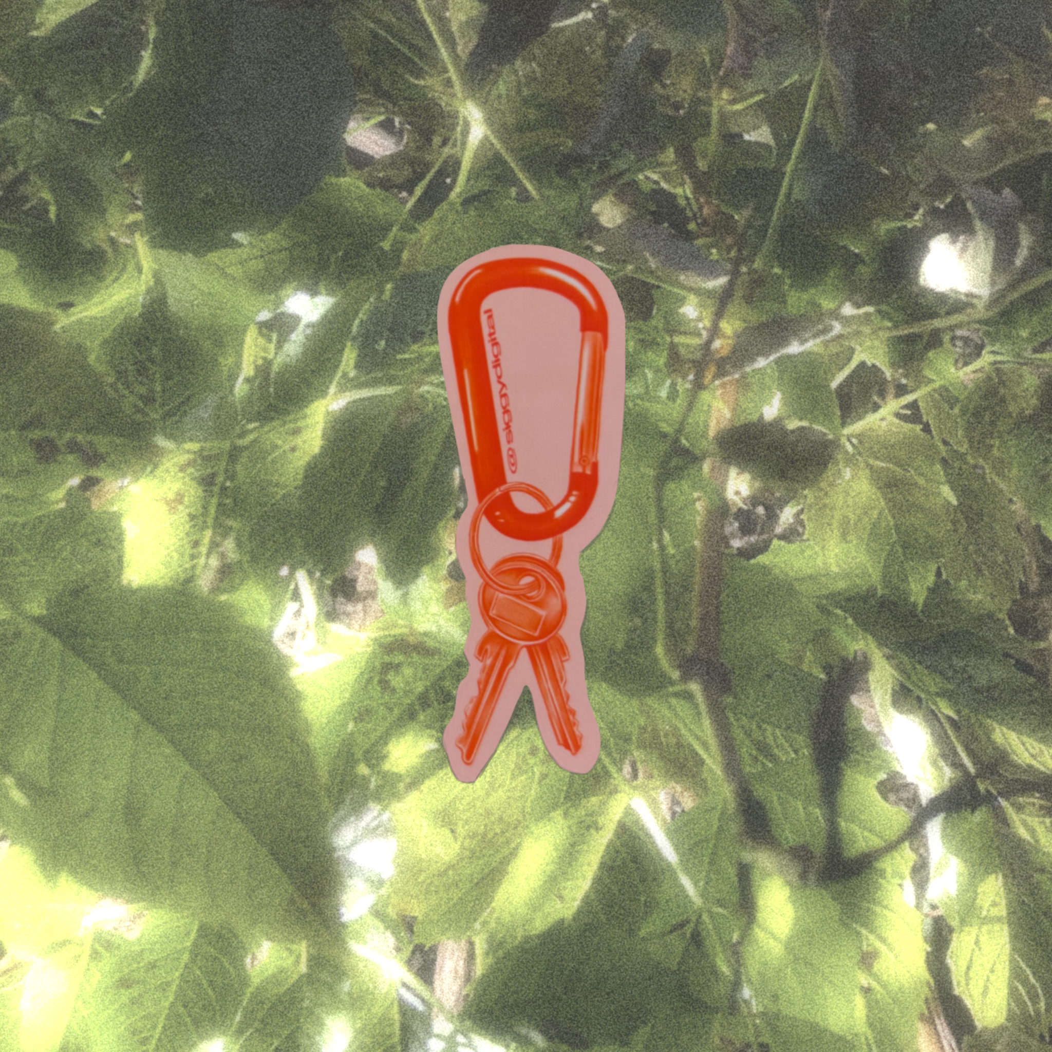 A mini red caribeaner keychain with two metal keys on a keyring. On a leafy green overlay/background.