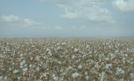 Ever Since, I Have Been Flying