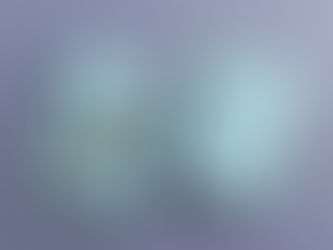 라인  The Line  2022