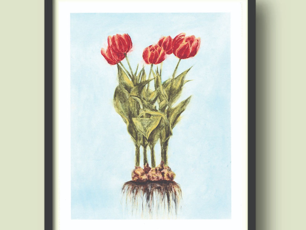 Thumbnail: Tulips: Art Print