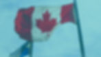 Incorporation provinciale ou fédérale