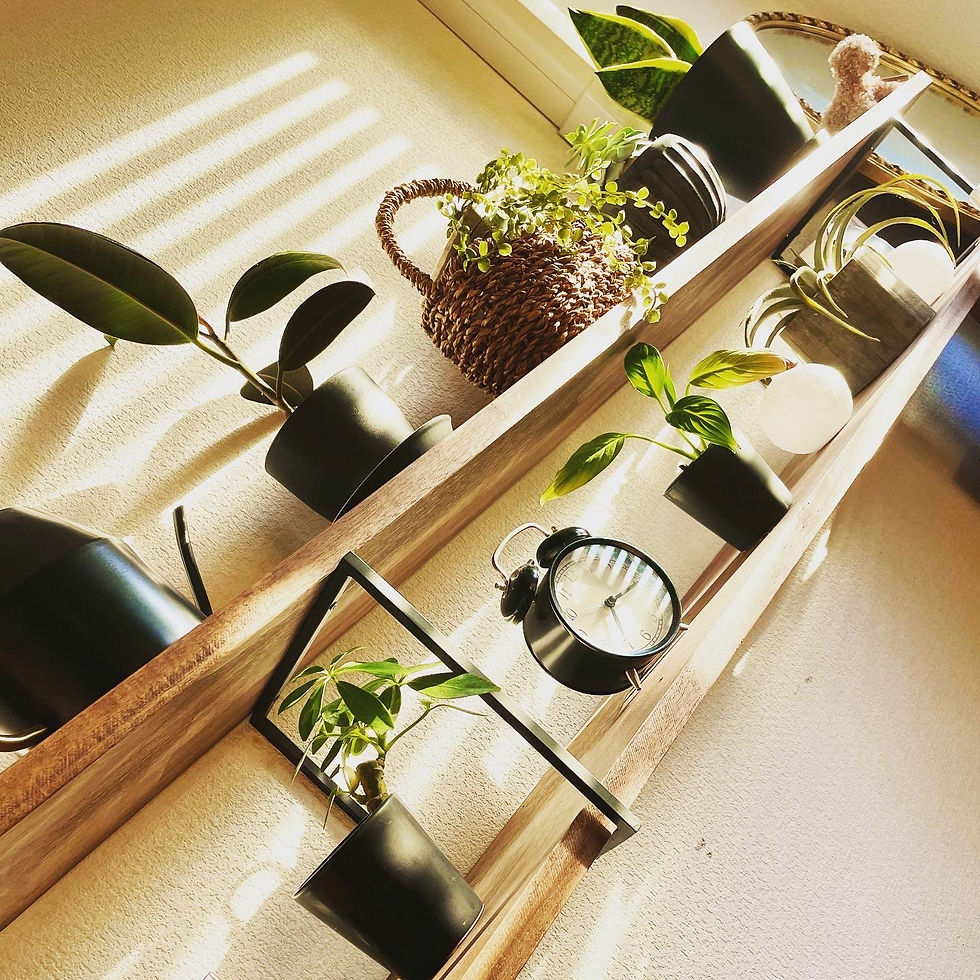 木×アイアンで観葉植物を美しく飾る2段カウンター