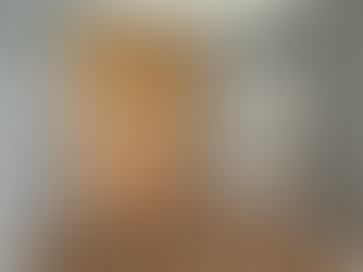 リフォーム後木製建具