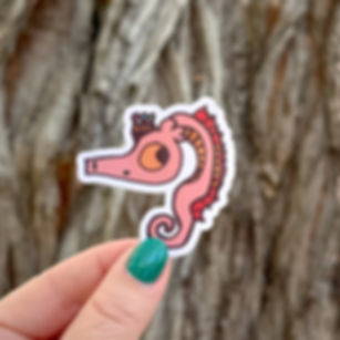 Crowned Pink Seahorse