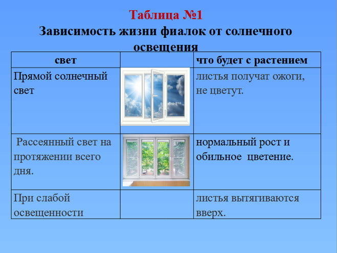 Маленькое чудо 9.png