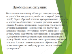 Семь раз примерь,один раз-отрежь! 5