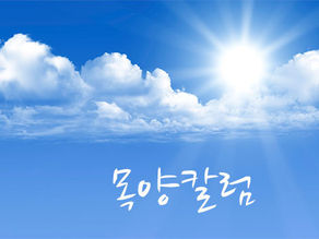 2016.08.07 목양칼럼입니다.