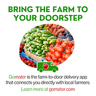 Edwards Digital marketing