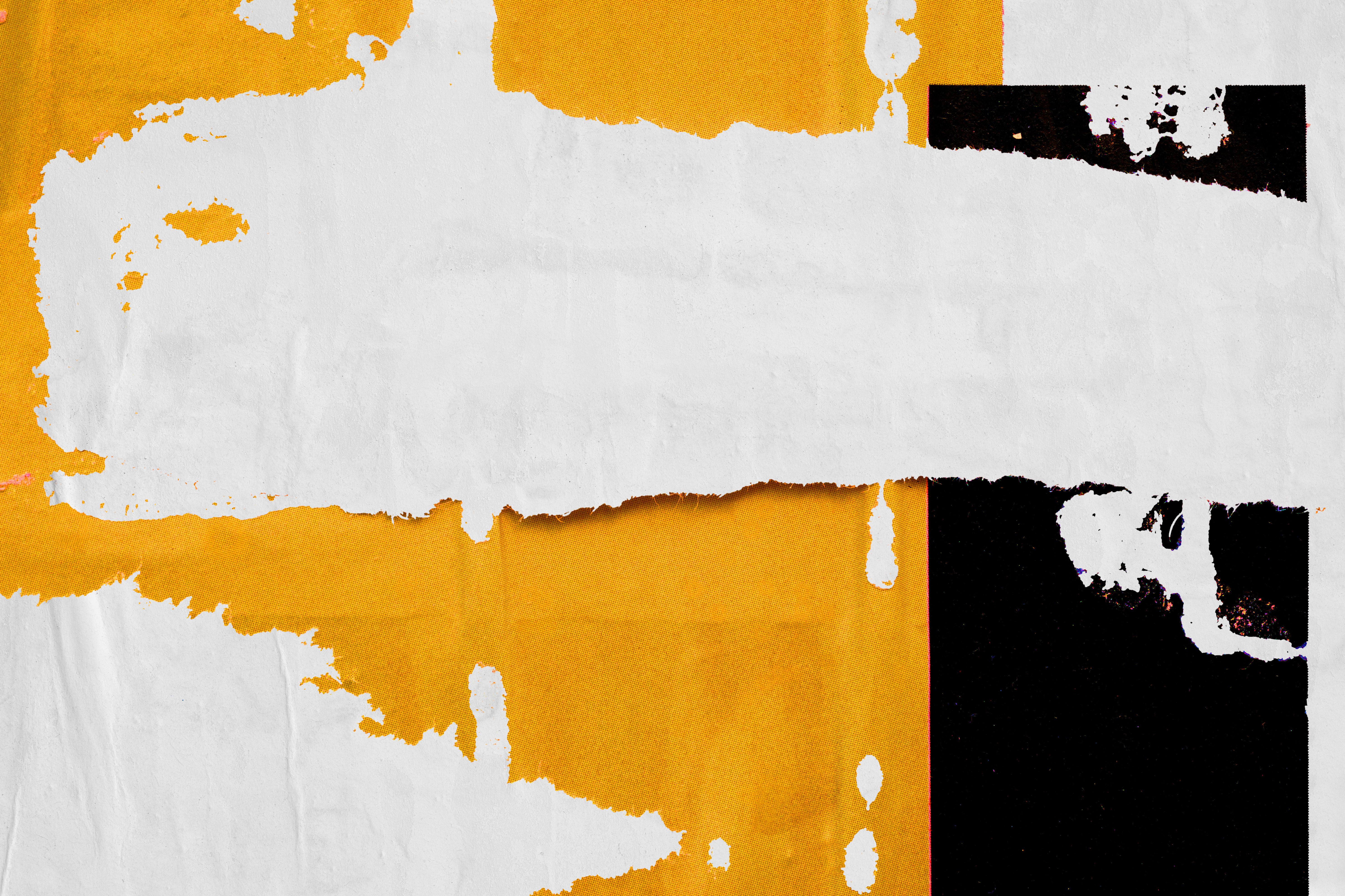 TRANS - 24" x 36" HD Canvas