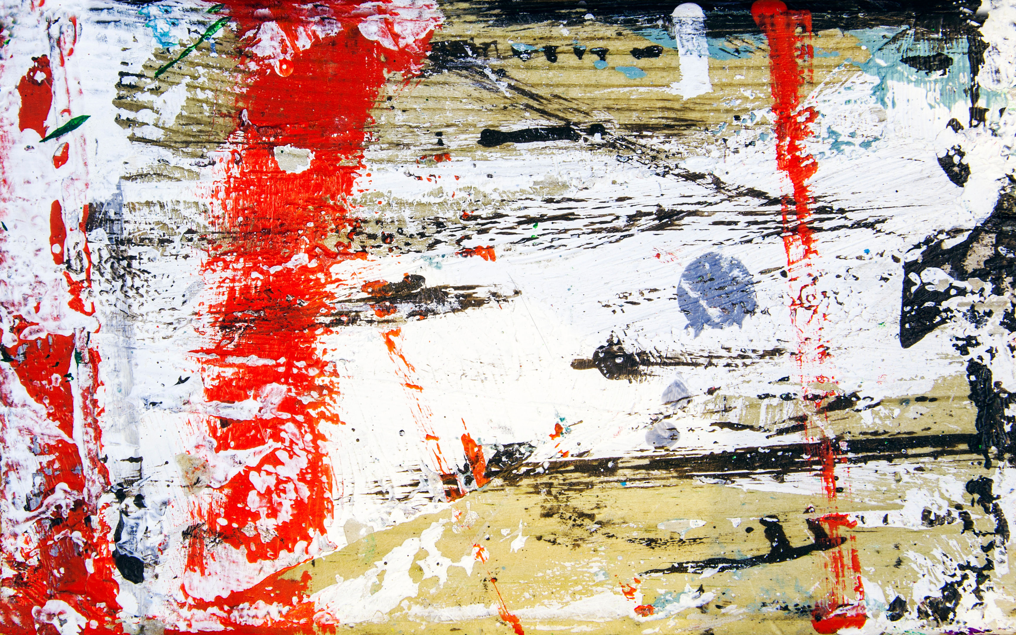 PAMPASAN - 24" x 36" HD Canvas