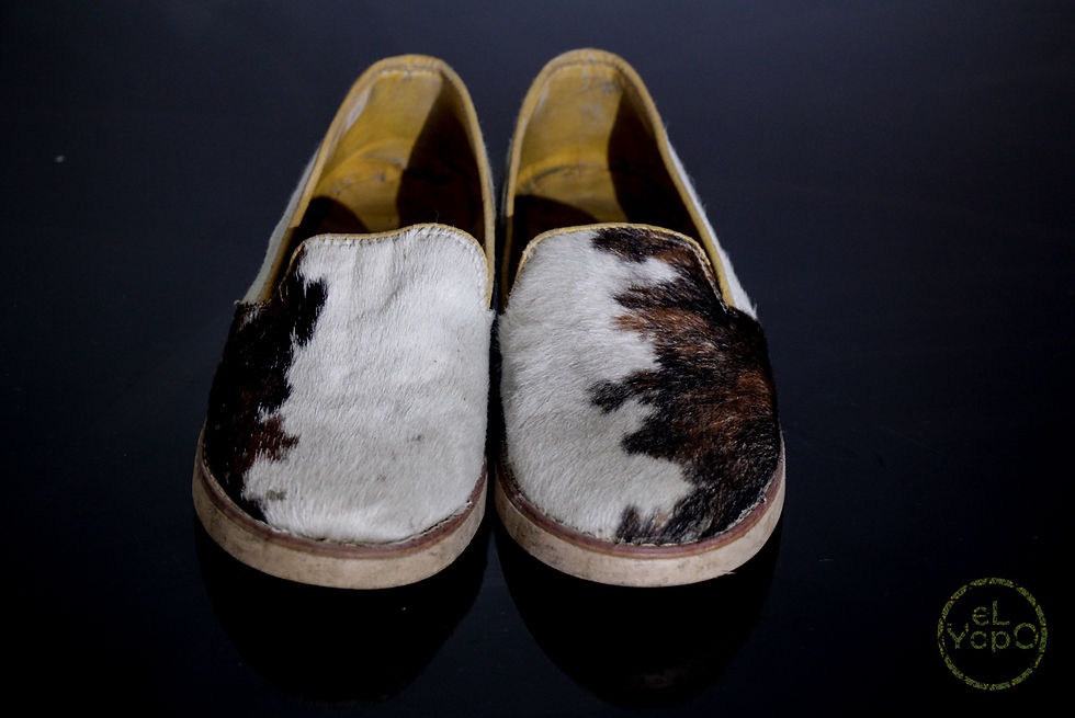 Miniatura: Cotizas Yoperas 11