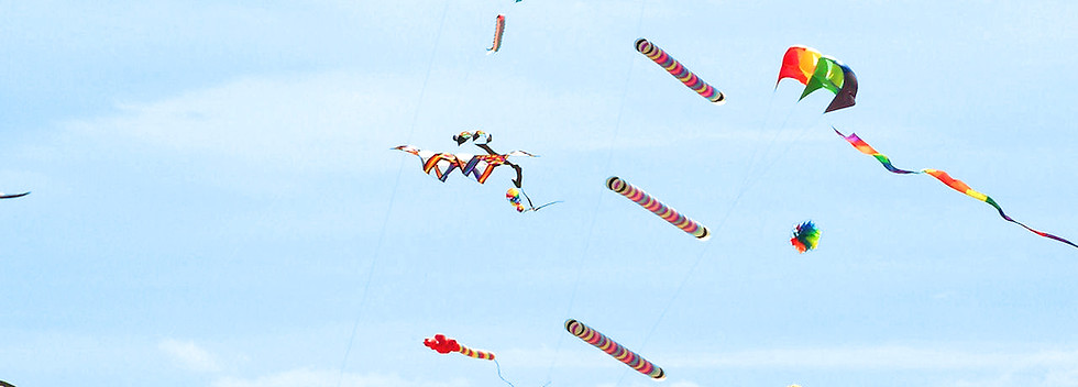 many kites