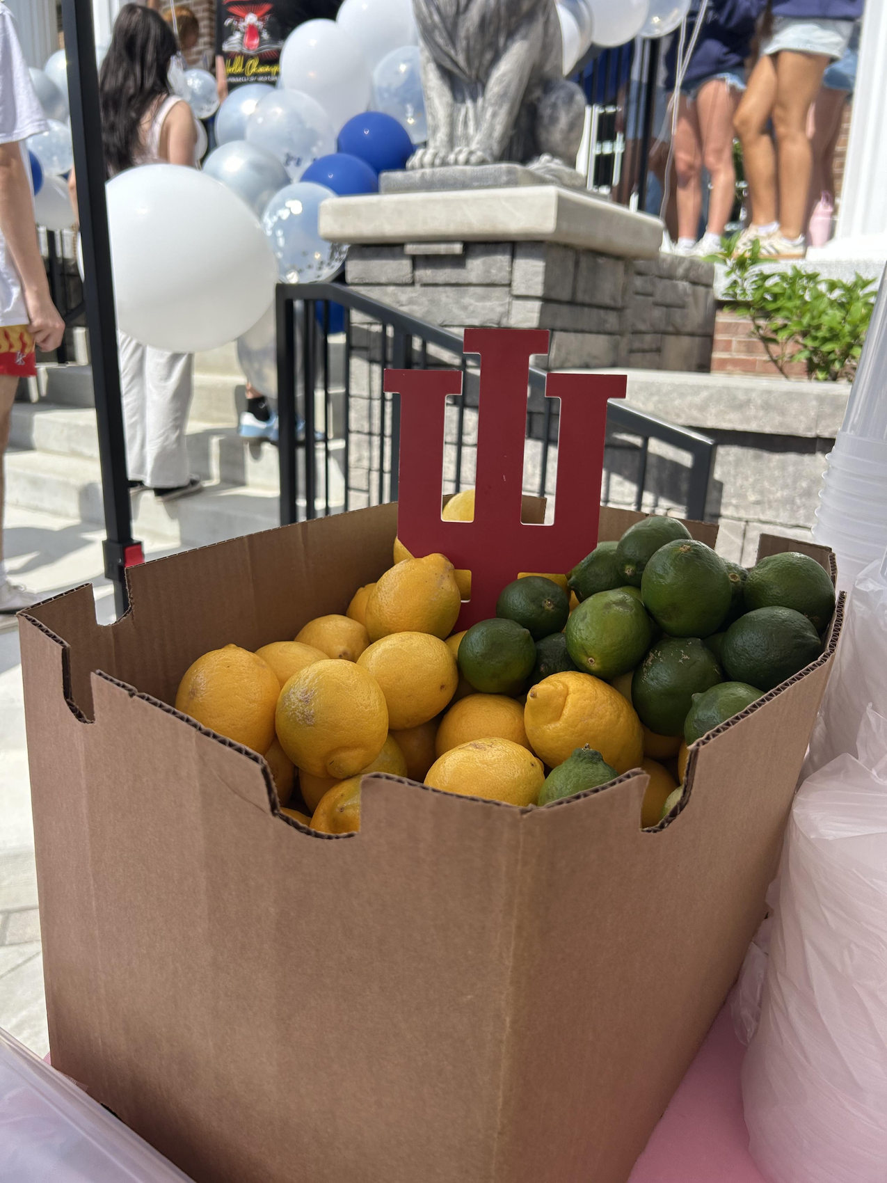 Fresh lemons and limes ready to squeeze at a Squeezy Pop pop-up event