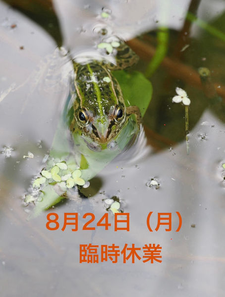 8月24日(月)臨時休業