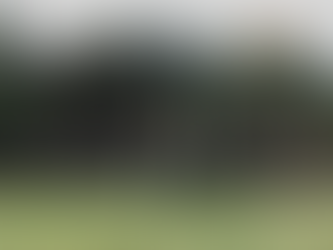 A todos os honoráveis revolucionários de Mianmar