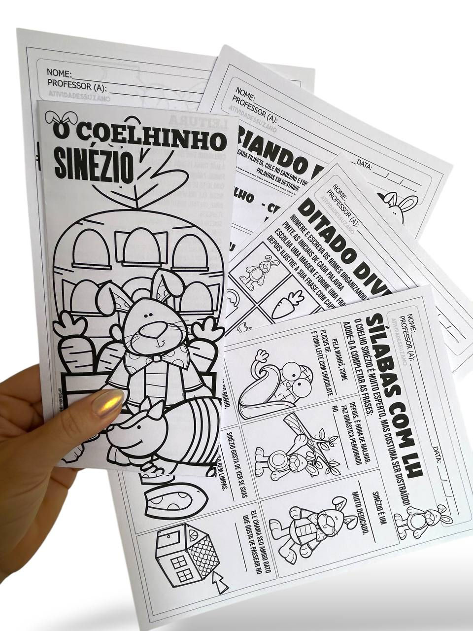 Miniatura: Coelho Sinézio – folder e atividades