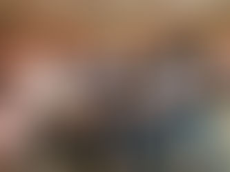 DISENTISERKANNE 2017