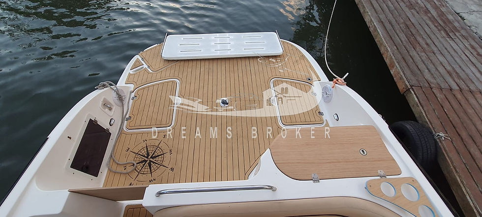 Miniatura: Coral 300