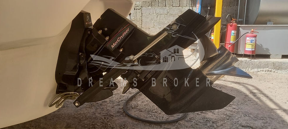 Miniatura: Focker 230