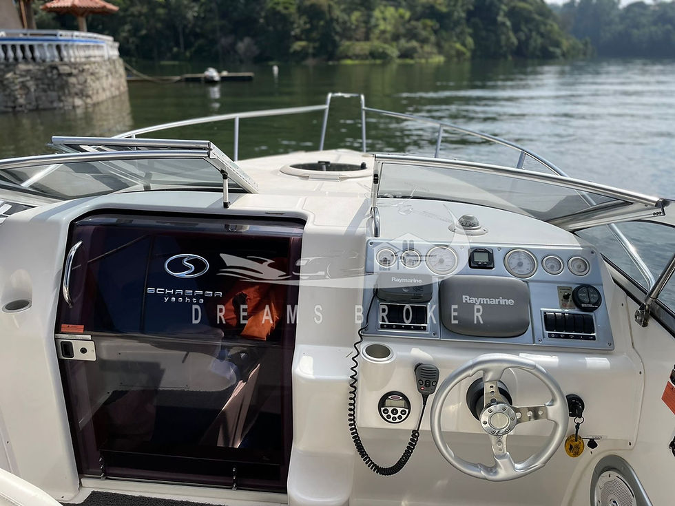 Miniatura: Phantom 260