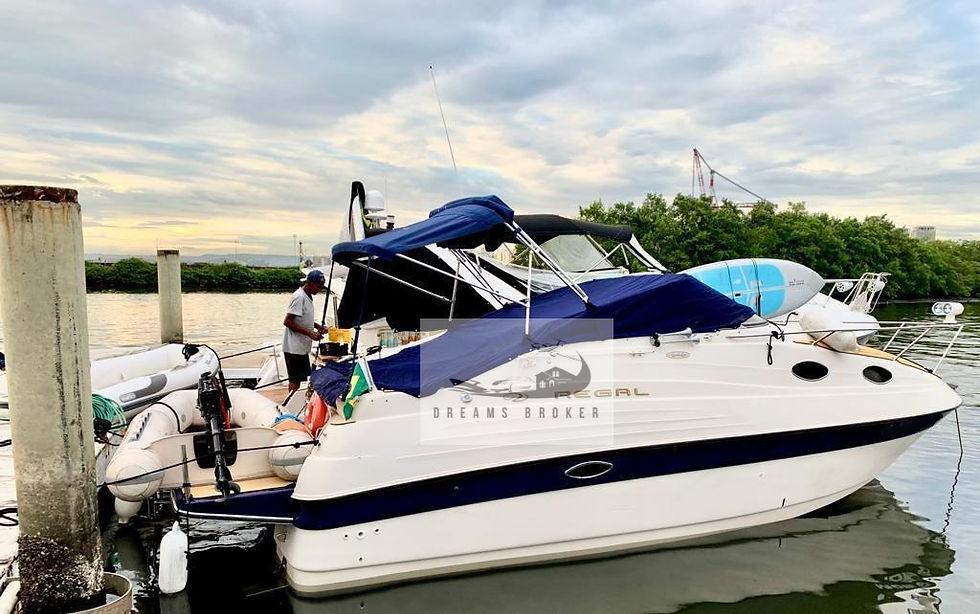 Miniatura: Regal 242 Commodore 