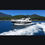 Miniatura: Intermarine 440 Full