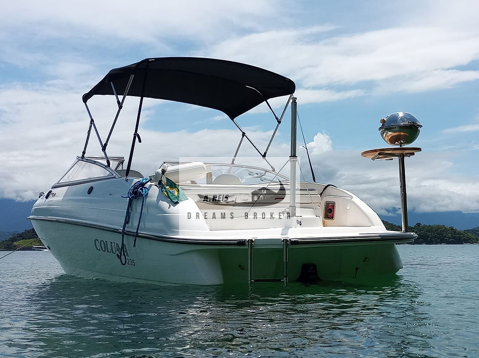 Miniatura: Colunna 235