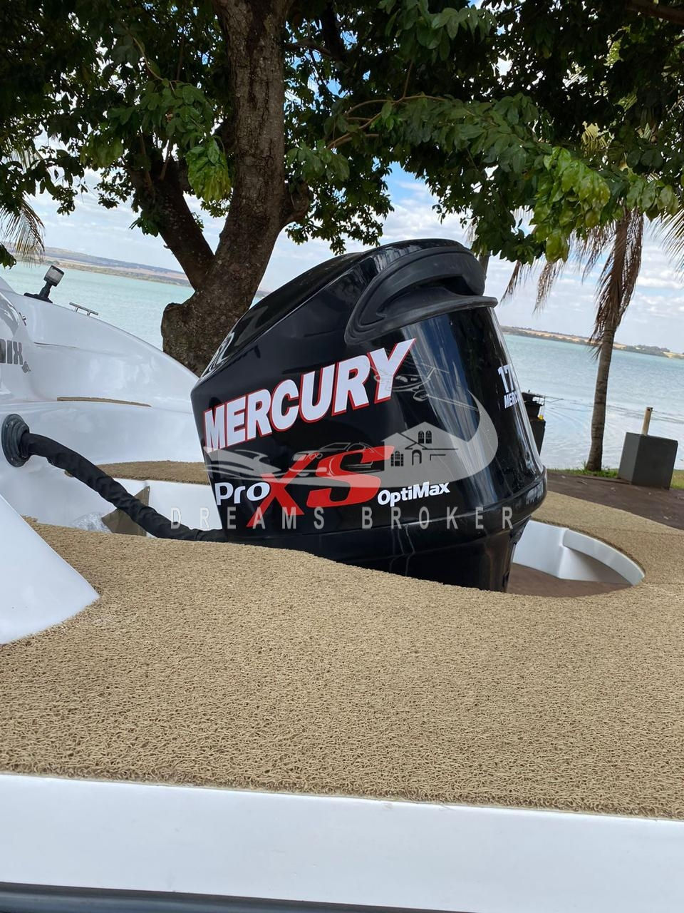 Miniatura: Phoenix 240 Limited 