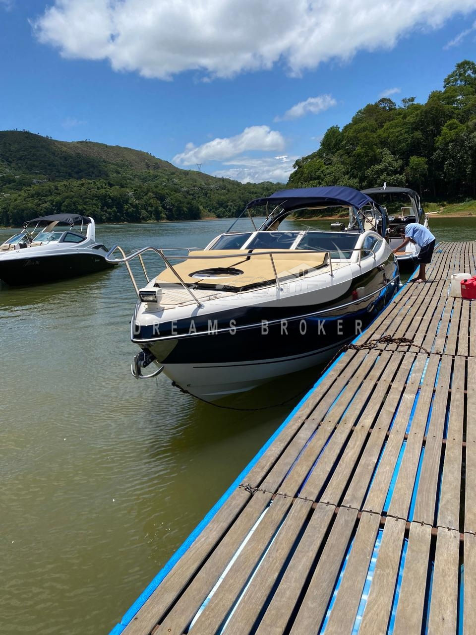 Miniatura: Phantom 290