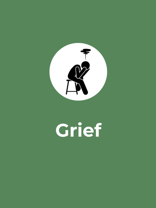 Grief - we provide grief counseling services.