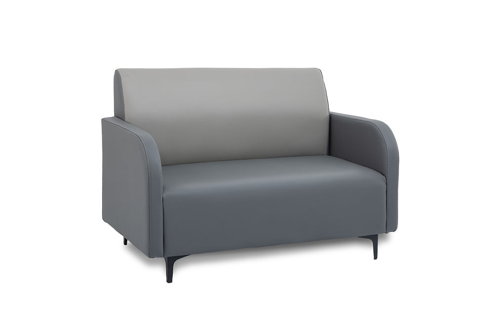 Thumbnail: 2 Seater Sofa TS0001