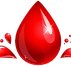 EMS Proficient Mobile Phlebotomy Service LLC logo featuring a stylish red blood drop.