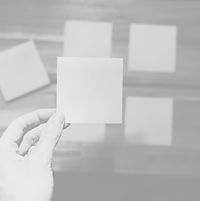 selección de experto