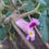 Thumbnail: Devil's Claw Seed, Proboscidea parviflora