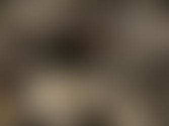 موج سوم پان ایرانیسم و تصفیه های قومی!