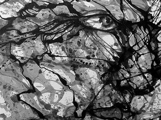 زبان مادری یعنی تفکر و شناخت