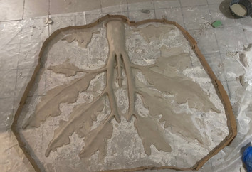 tail and fins sculpt (2m wide)