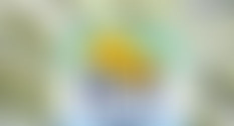 Nota Fiscal Paulista tem R$ 8 milhões para resgatar que vencem neste mês