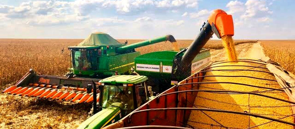 Agronegócio do Brasil somam US$ 79,3 bilhões de exportações no 1º semestre