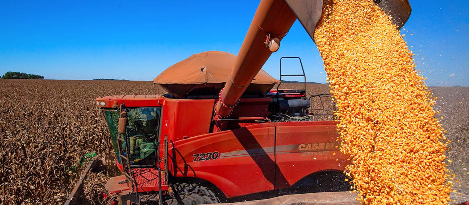 Governo lança Plano Safra com R$ 340,8 bi para o crédito agrícola