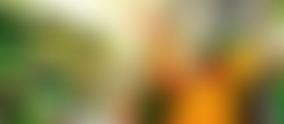 Volta a subir os preços dos alimentos e puxa alta da prévia da inflação no mês de novembro