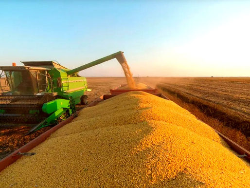 Exportações do Agro do Brasil passa os US$ 10 bi mensais pela primeira vez
