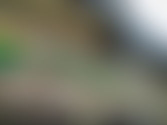 Petrobras afirma que não há perspectiva para estabilização do preço dos combustíveis