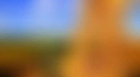 Produção agrícola deste ano deverá superar 318 milhões de toneladas