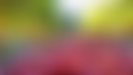 Produção de café do Brasil em 2024/25 será de 67,15 milhões de sacas, projeta trading