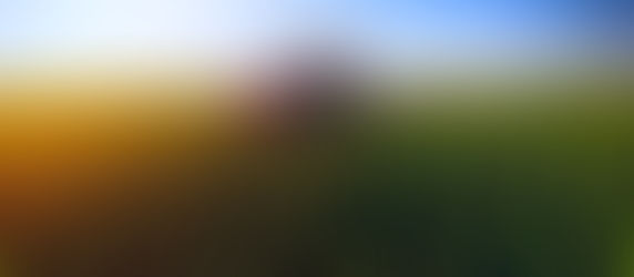 Maior cooperativa agrícola do Brasil aprova antecipação de R$ 230 milhões aos cooperados