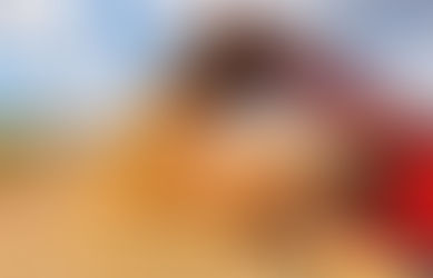 A partir de maio Exportadores Rurais terão acesso a linha de crédito de US$ 1 bilhão