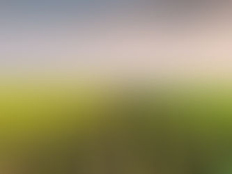 Ciência fala que Fazendas do futuro produzirão alimentos enquanto restauram o meio ambiente