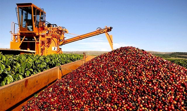 Exportação de café do Brasil, de soja e milho avança em outubro