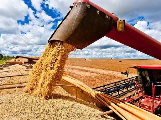 Safra recorde e chuva: as apostas do Ministério da Economia para garantir PIB acima do esperado